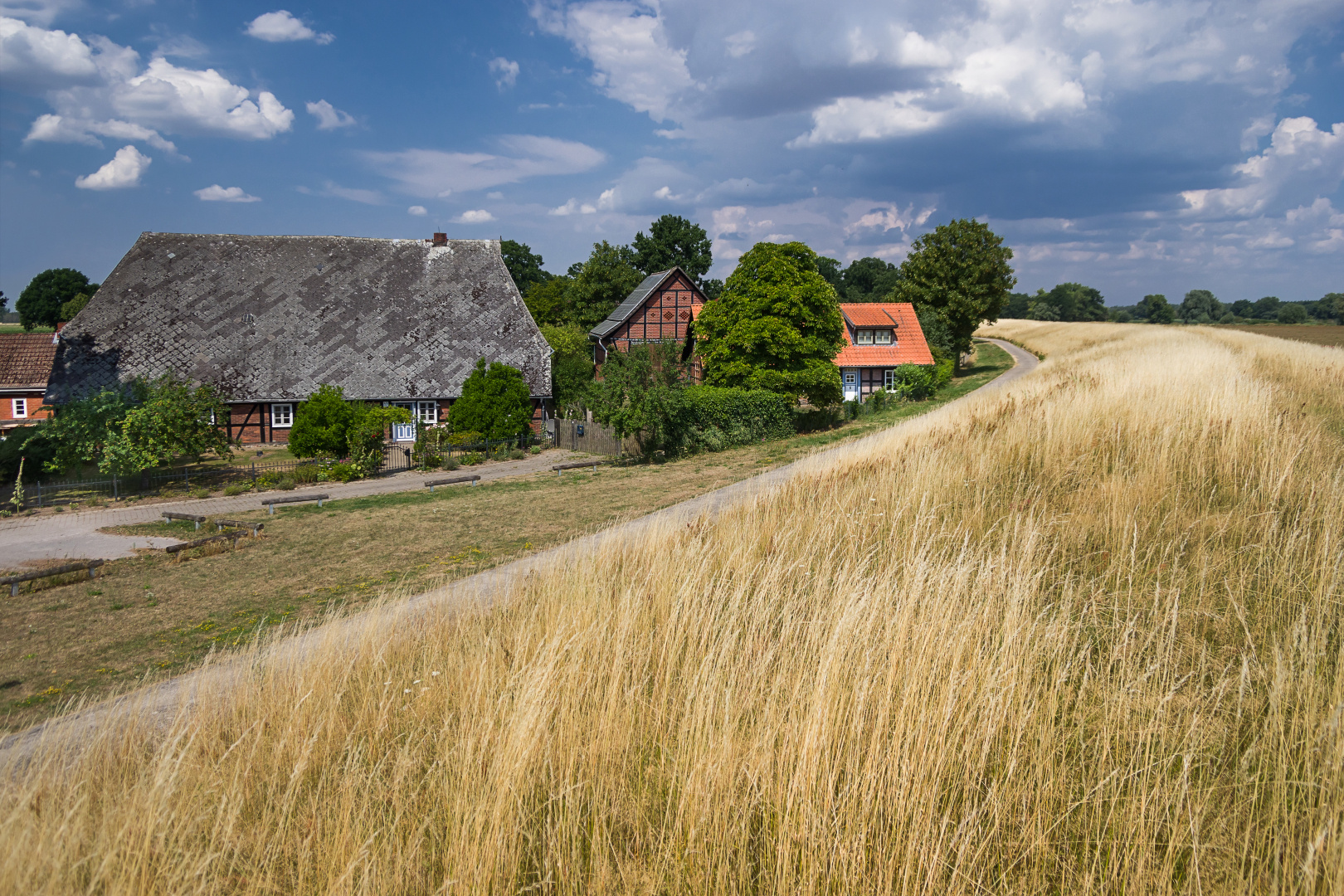 Elbdeich sommertrocken