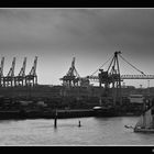 ELBE 5