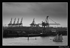 ELBE 5