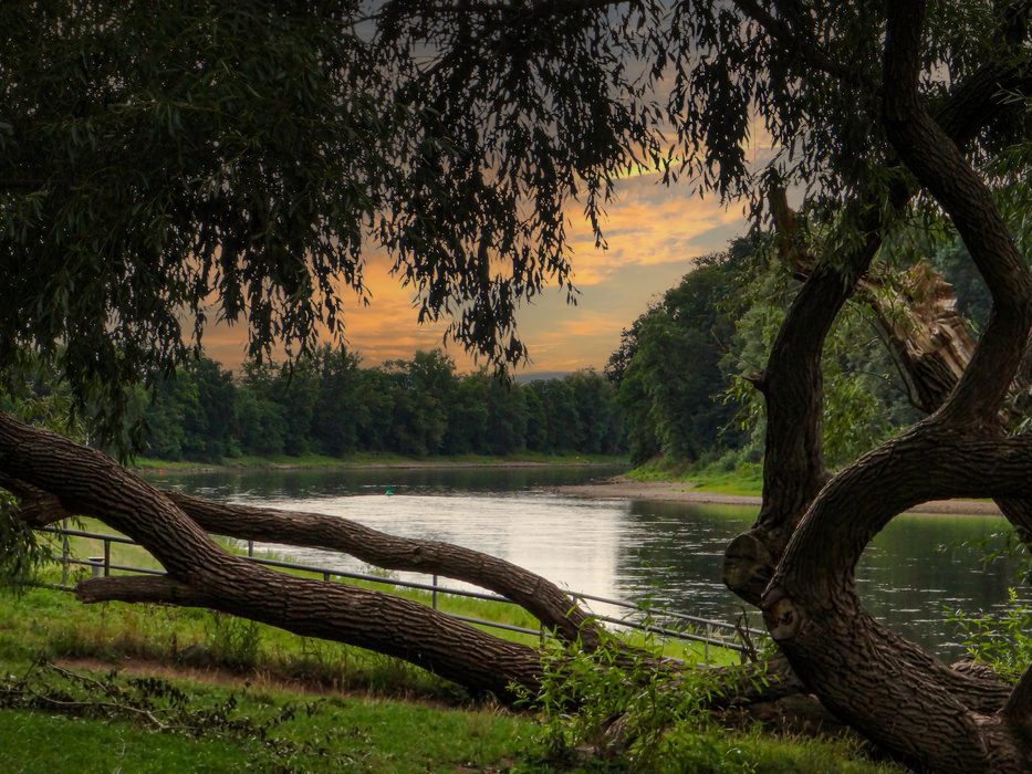 Elbe am Schloß Pillnitz