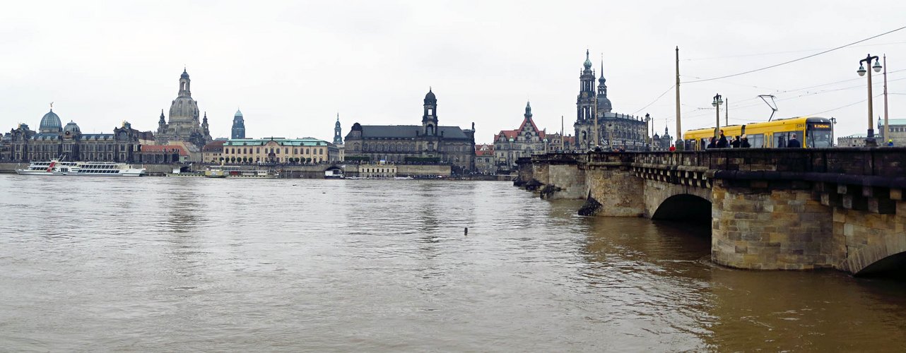 Elbe am Terrassenufer Dresden