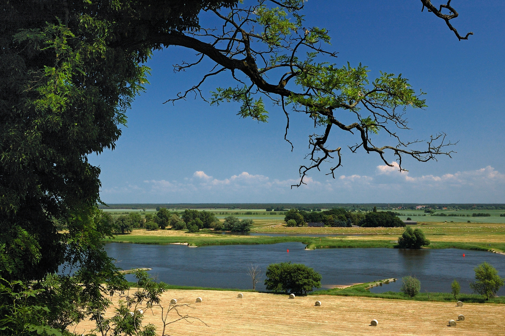 Elbe bei Arneburg