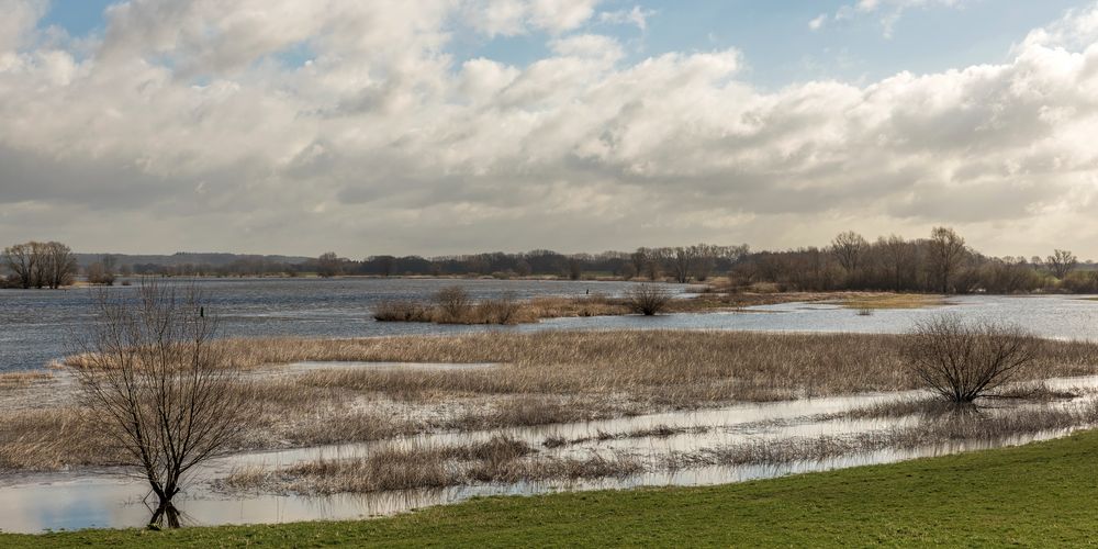 Elbe bei Bleckede