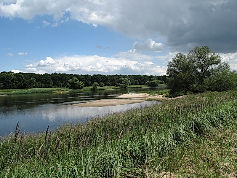 Elbe bei Breitenhagen / Sachsen-Anhalt