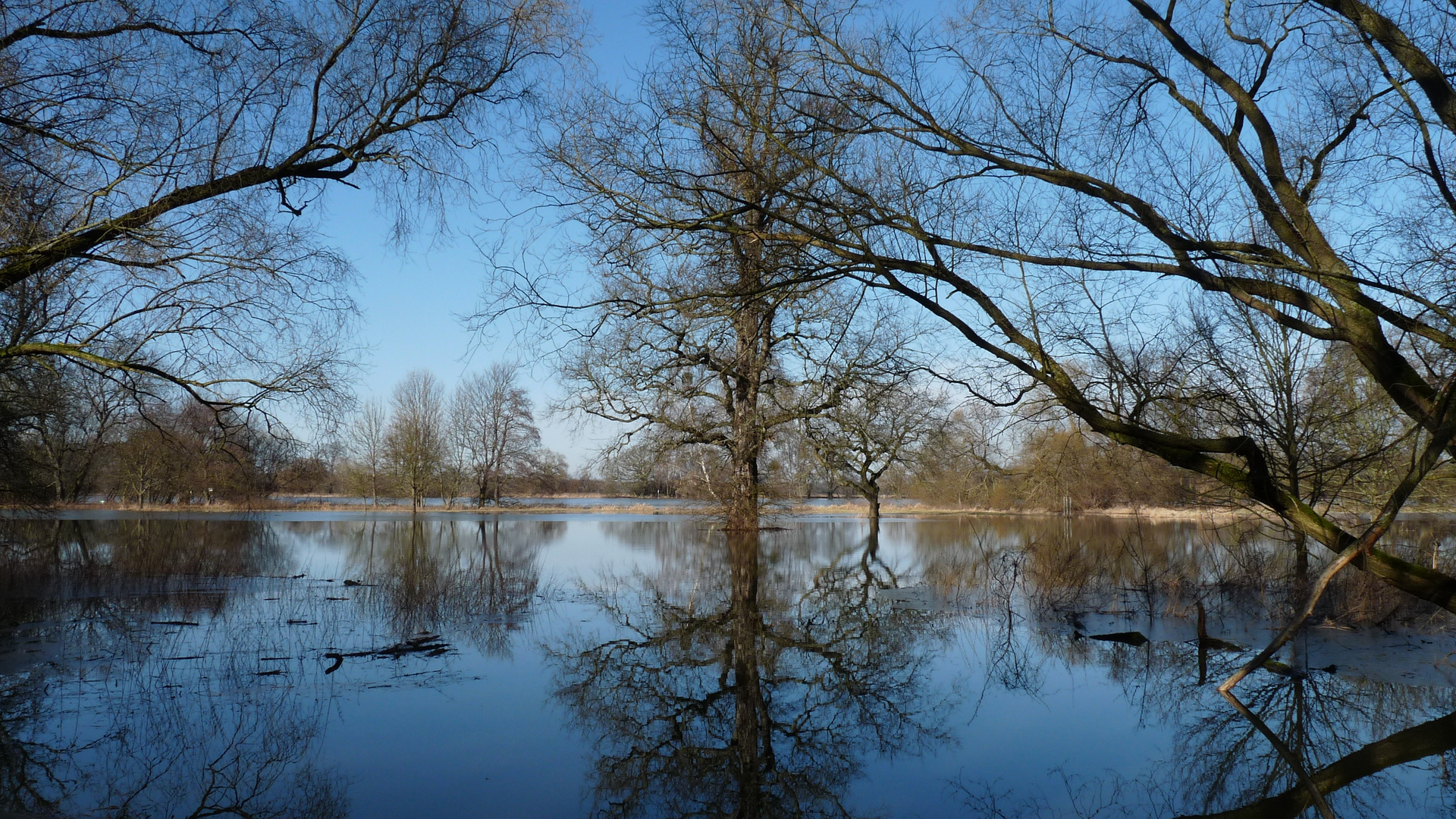 Elbe bei Dessau