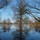 Elbe bei Dessau