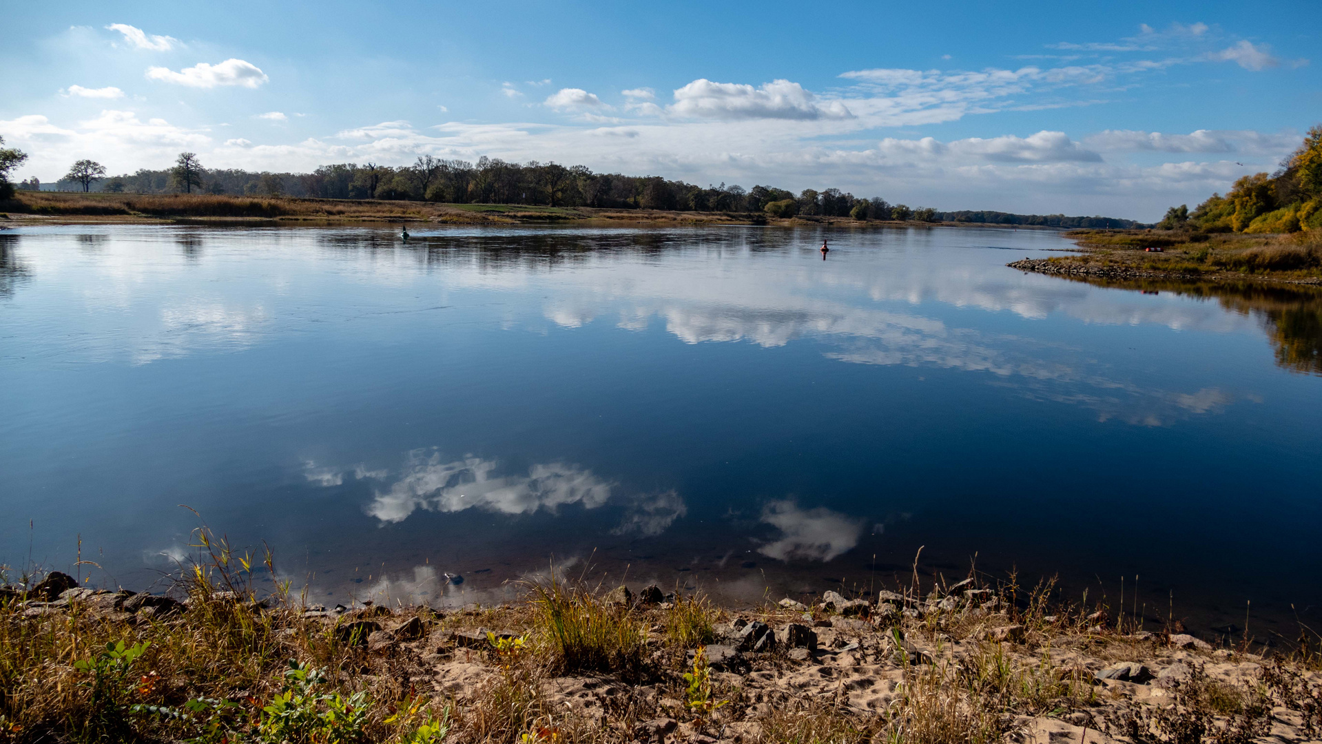 Elbe bei Dessau-Roßlau