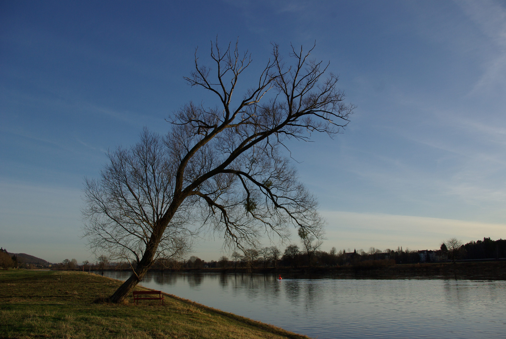 Elbe bei Dresden