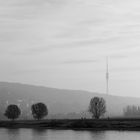 Elbe bei Dresden