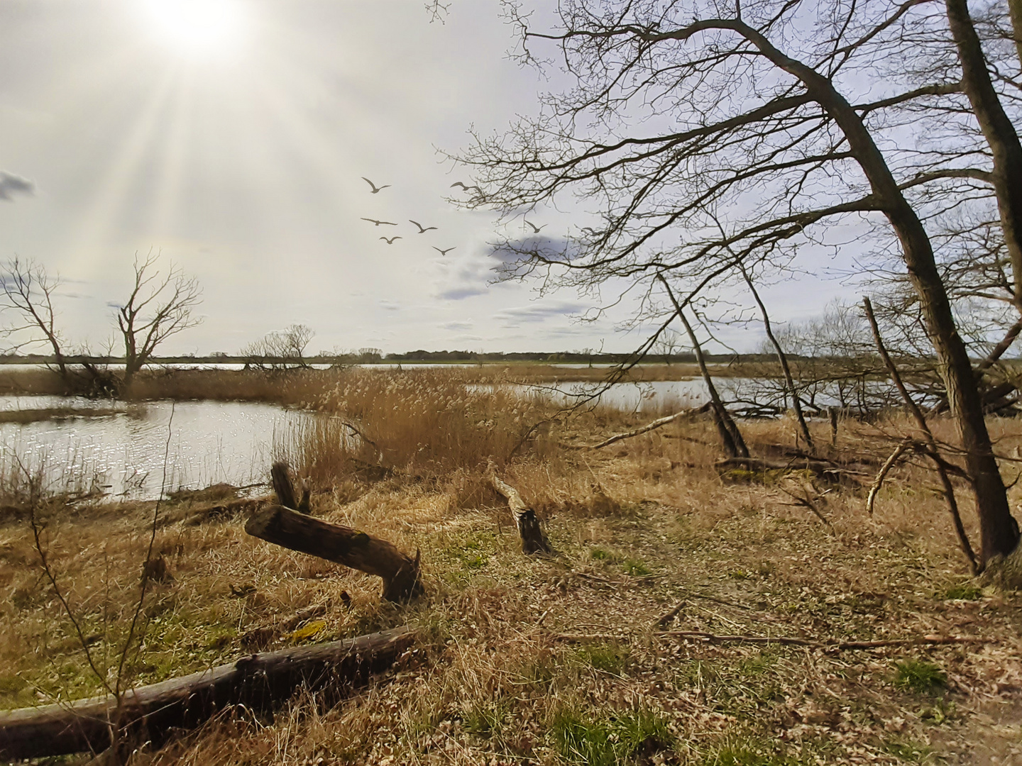 Elbe bei Geesthacht