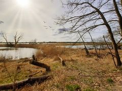 Elbe bei Geesthacht