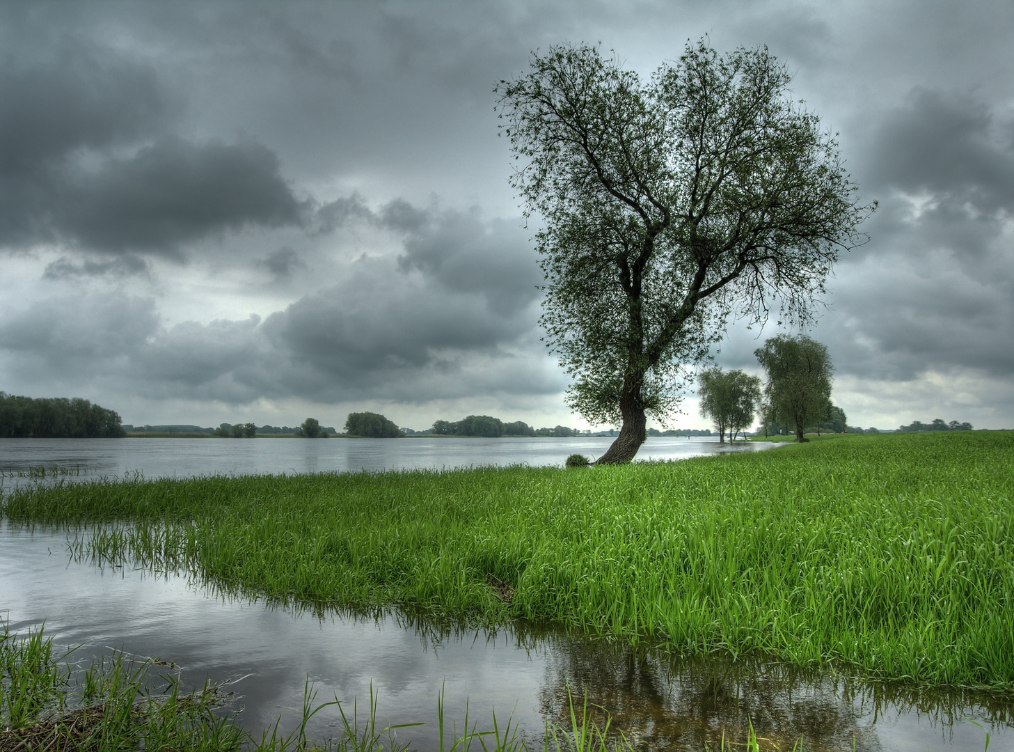 Elbe bei Hitzacker