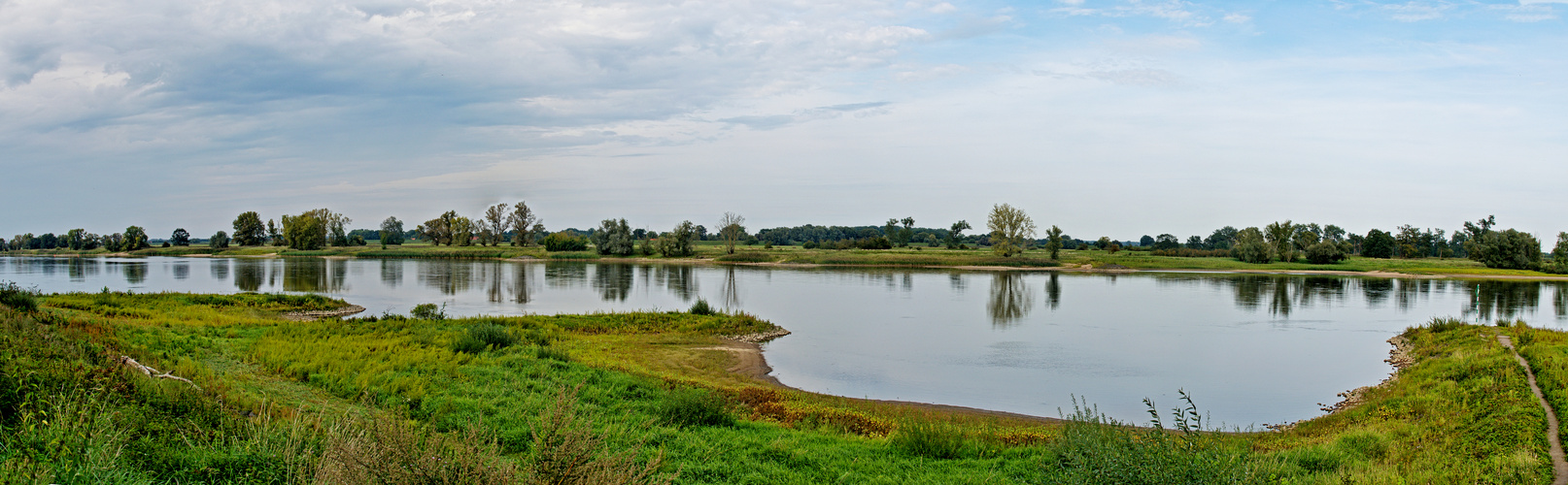 Elbe bei Hitzacker