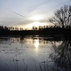 Elbe bei Hochwasser