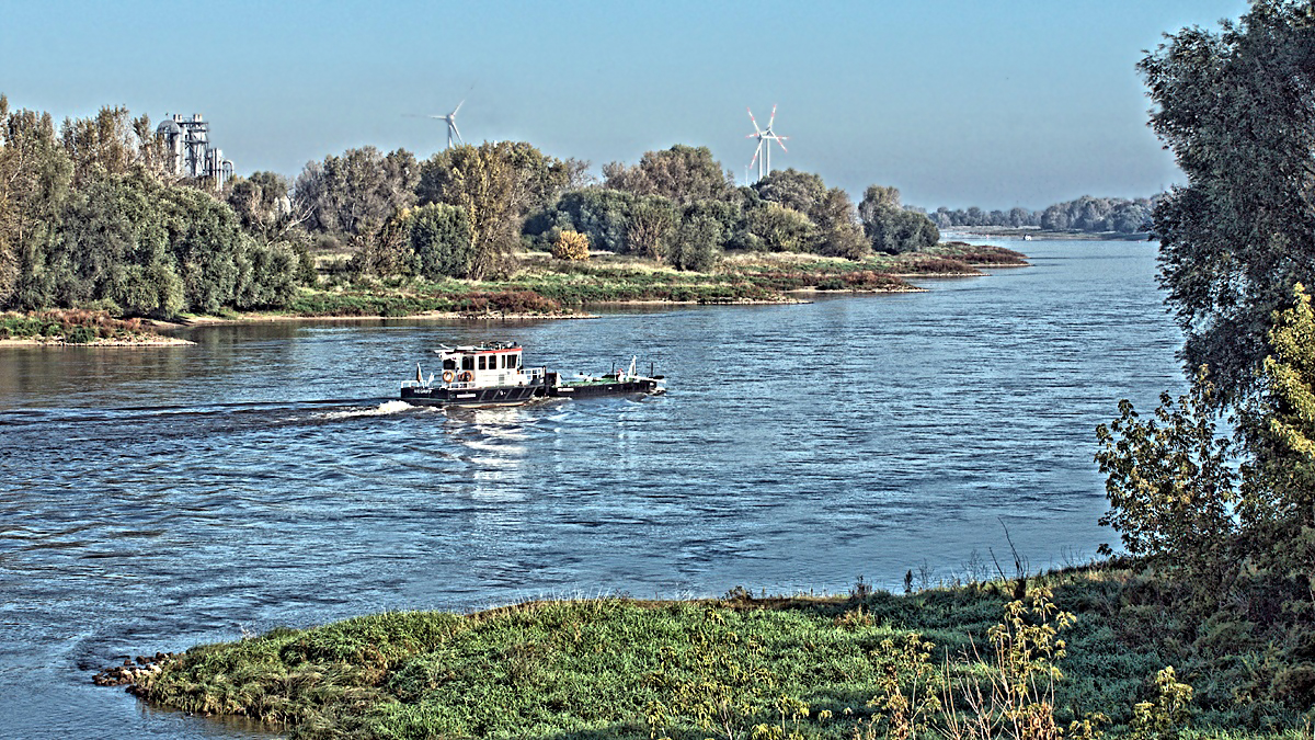 Elbe bei Magdeburg