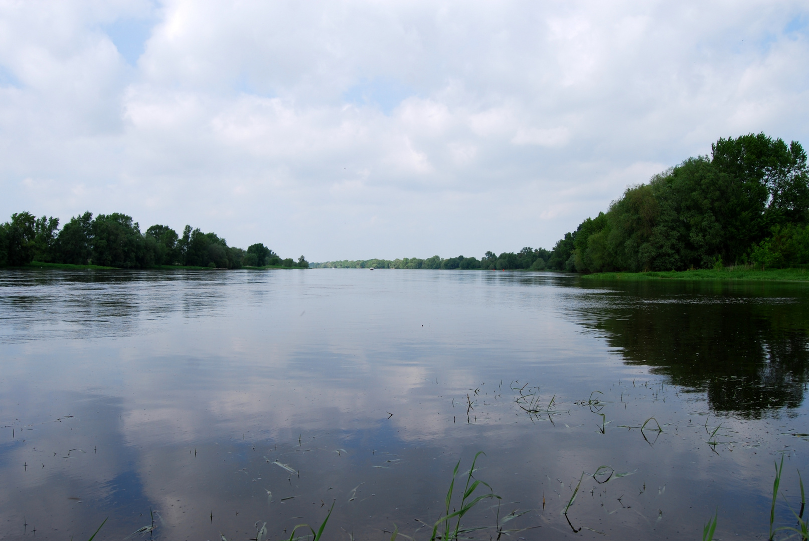 Elbe bei Magdeburg