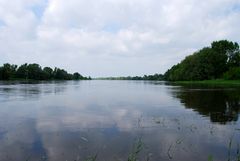 Elbe bei Magdeburg