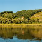 Elbe bei Meißen mit Blick auf das Spaargebirge