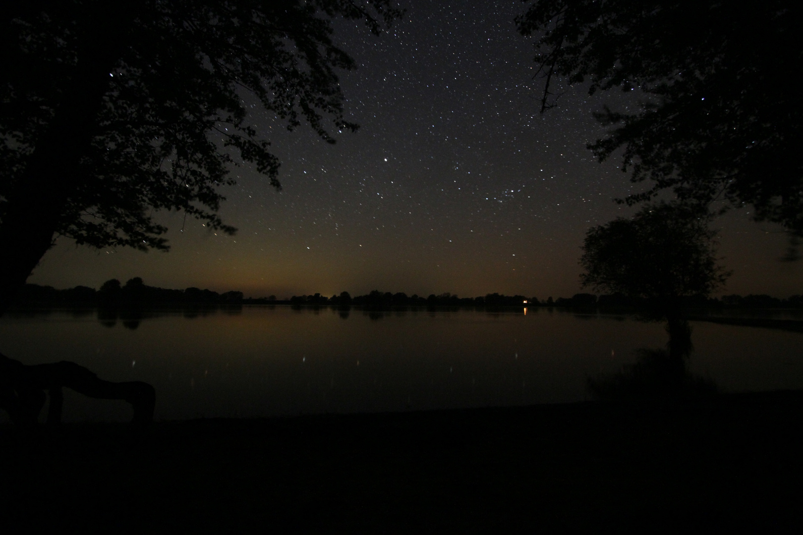 Elbe bei Nacht (Wendland)