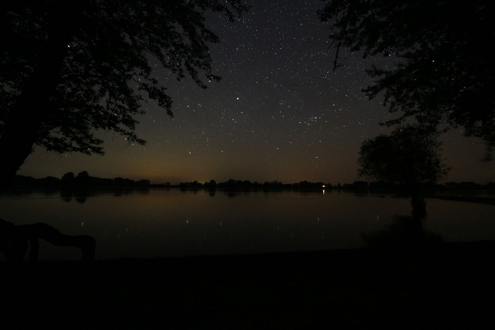 Elbe bei Nacht (Wendland) von Basslion 