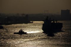 Elbe bei Neumühlen im Gegenlicht