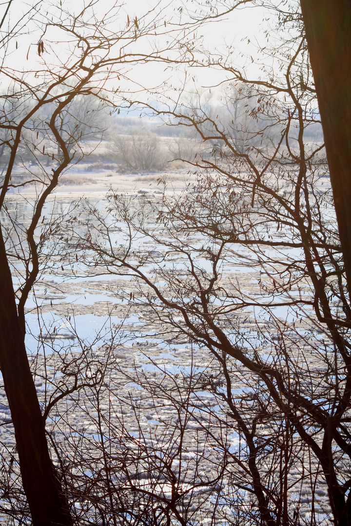 Elbe bei Polte