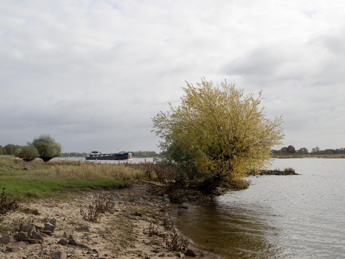 Elbe bei Rühstädt