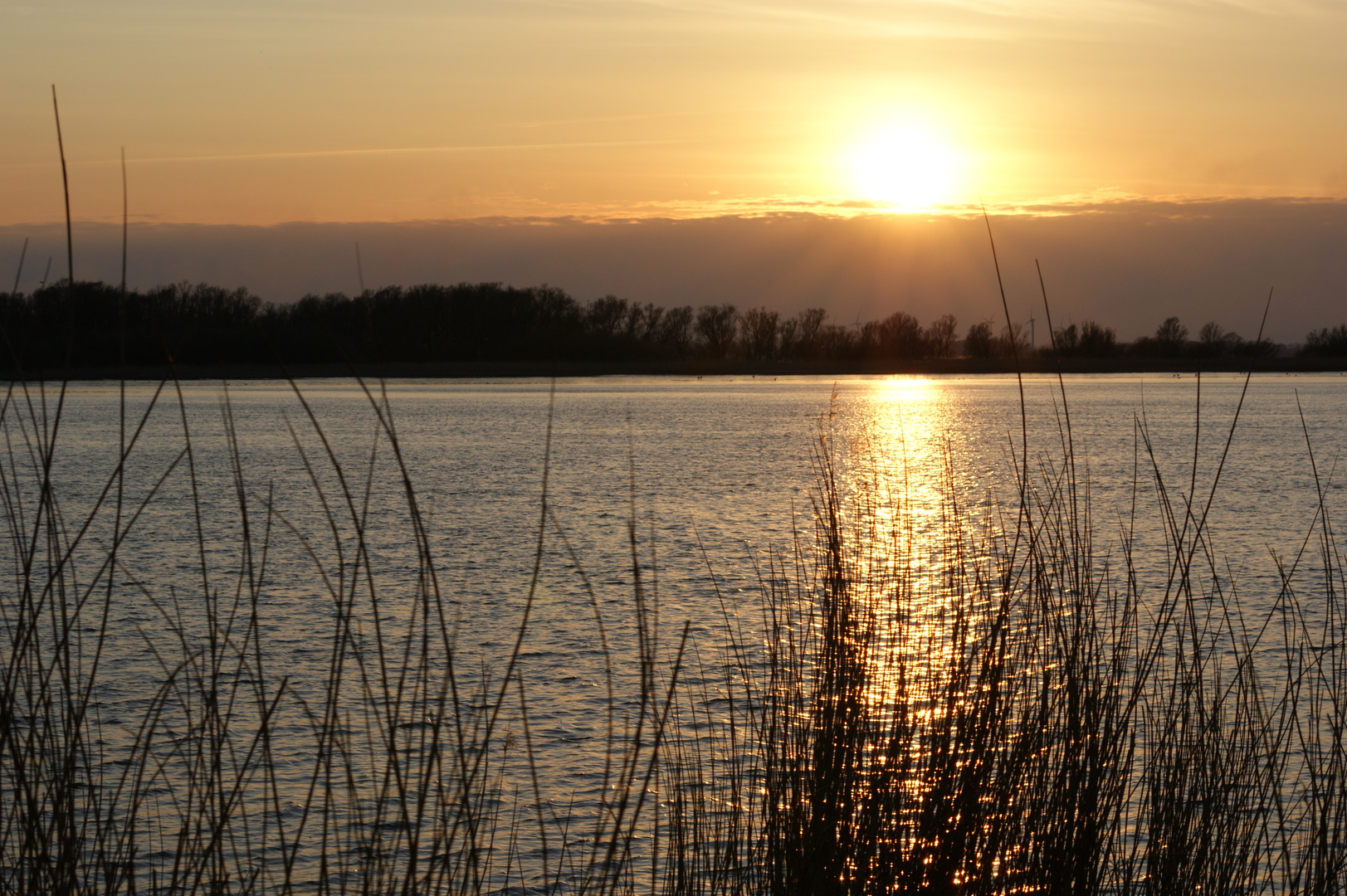 Elbe bei Sonnenuntergang