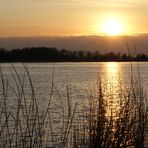 Elbe bei Sonnenuntergang