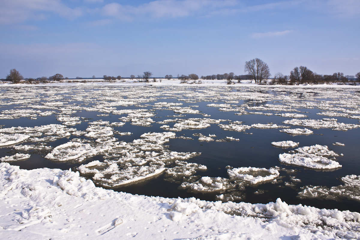 Elbe bei Tangermünde