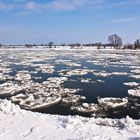 Elbe bei Tangermünde