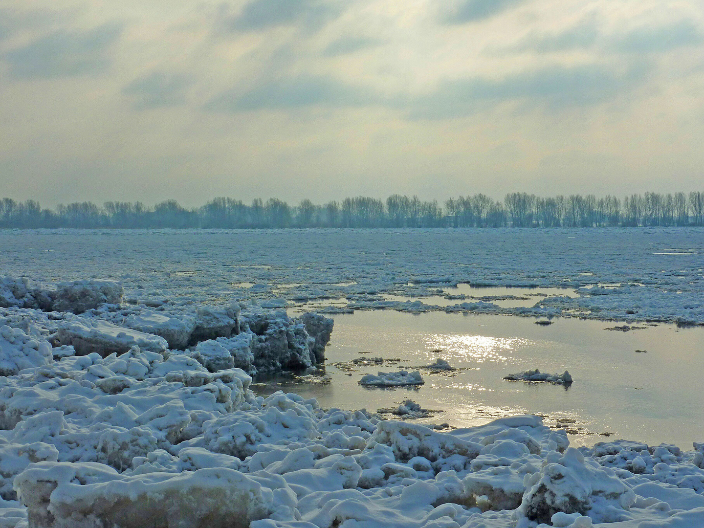 Elbe bei Wedel