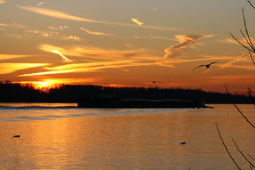 Elbe beim Schulauer Fährhaus