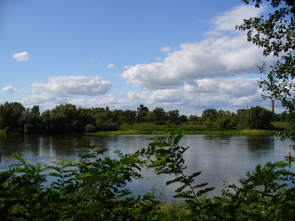 elbe-blick2