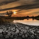 Elbe Brack früh im Herbstlicht