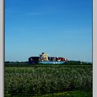 Elbe, Containerschiff