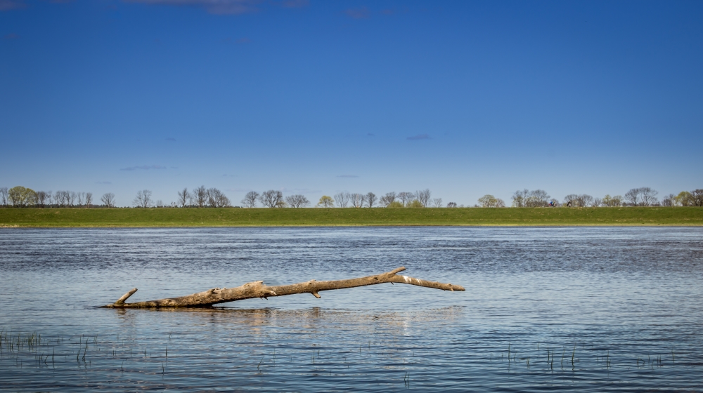 Elbe, einfach ein schönes Fleckchen