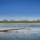 Elbe, einfach ein schönes Fleckchen