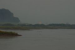 Elbe - Fahrwasserkennung und Reiher bei flauem Morgenlicht