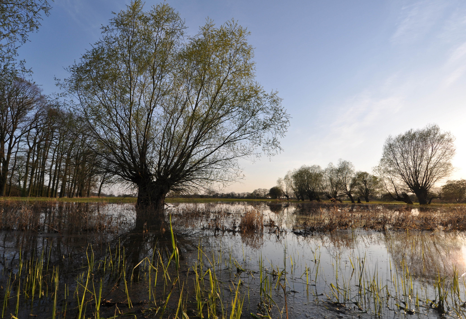 Elbe-Hochwasser