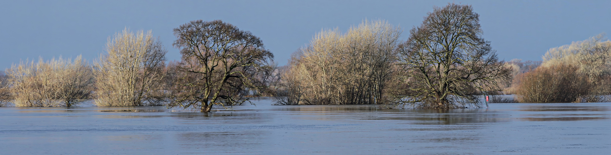 Elbe-Hochwasser