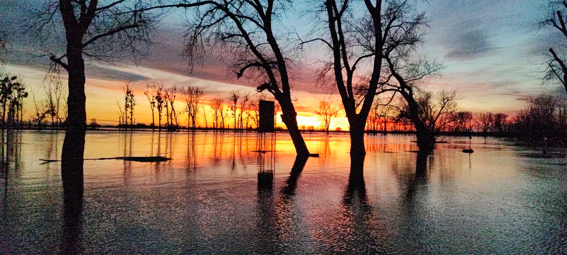 Elbe-Hochwasser