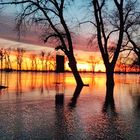 Elbe-Hochwasser