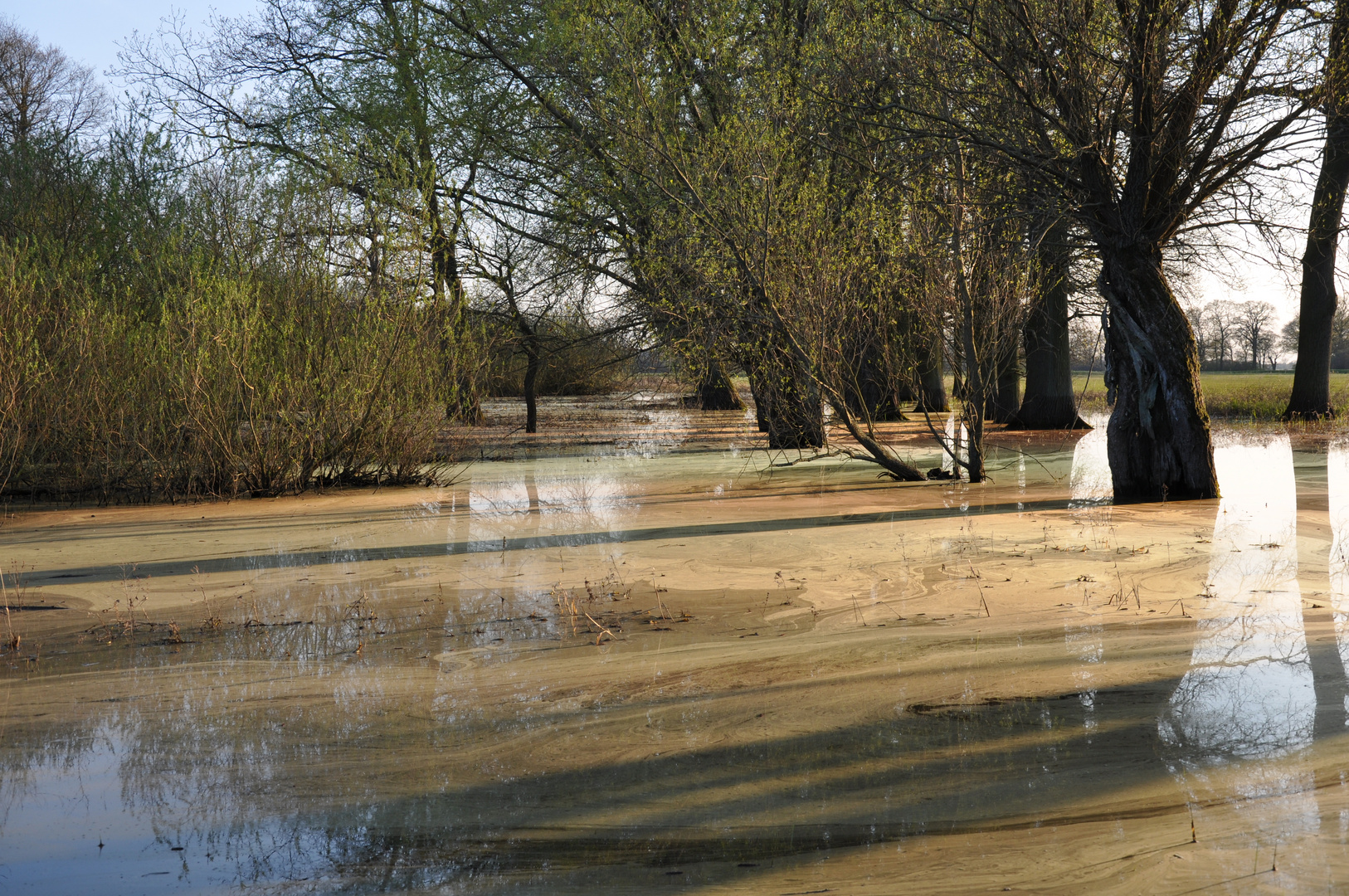 Elbe-Hochwasser