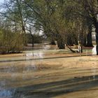 Elbe-Hochwasser