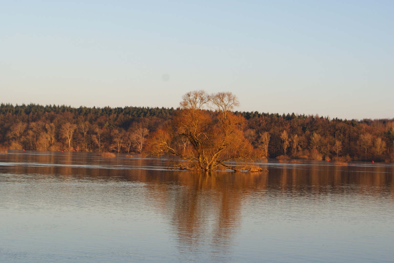 Elbe Hochwasser