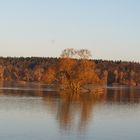 Elbe Hochwasser