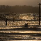 Elbe Hochwasser