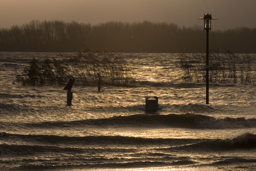 Elbe Hochwasser