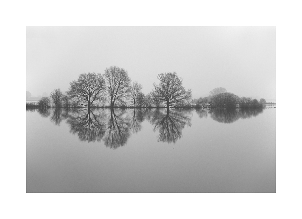 Elbe-HOCHwasser